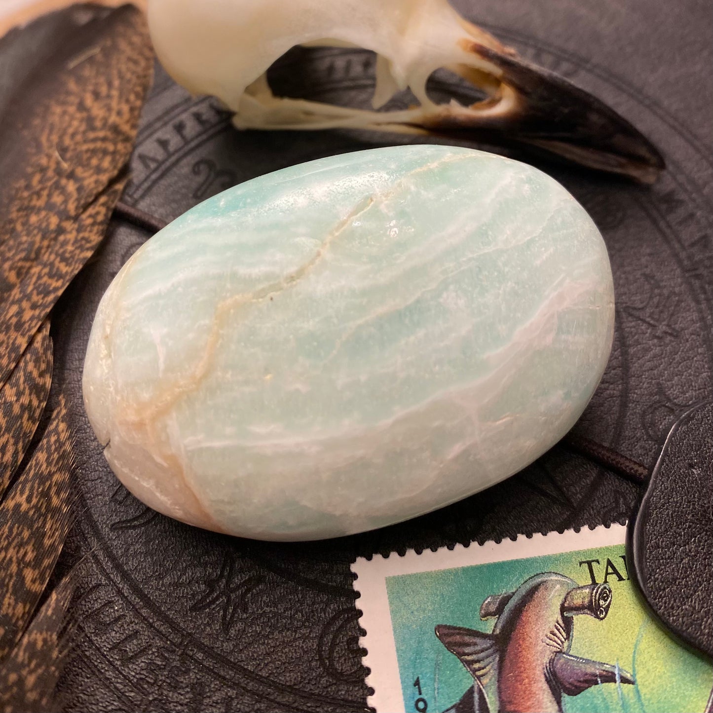 Karibian kalsiitti, kämmenkivi