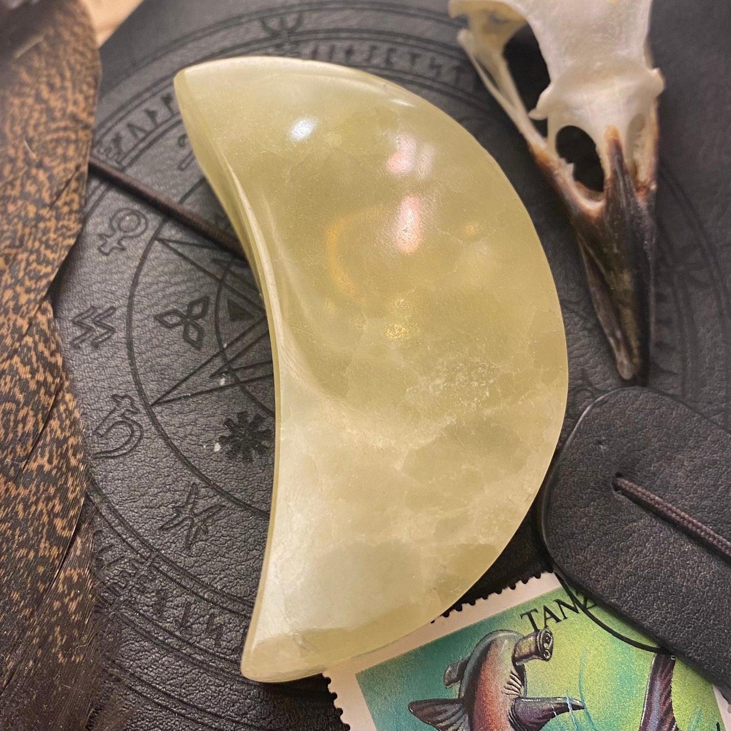 Sitruuna kalsiitti kuu 6,7cm