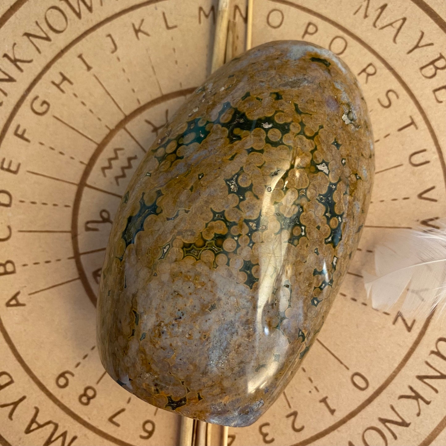 Valtamerijaspis 351g ALE -40%