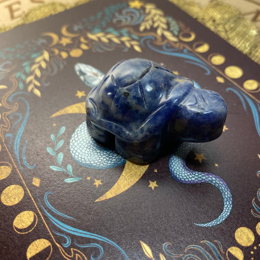 Sodaliitti kilpikonna 4cm