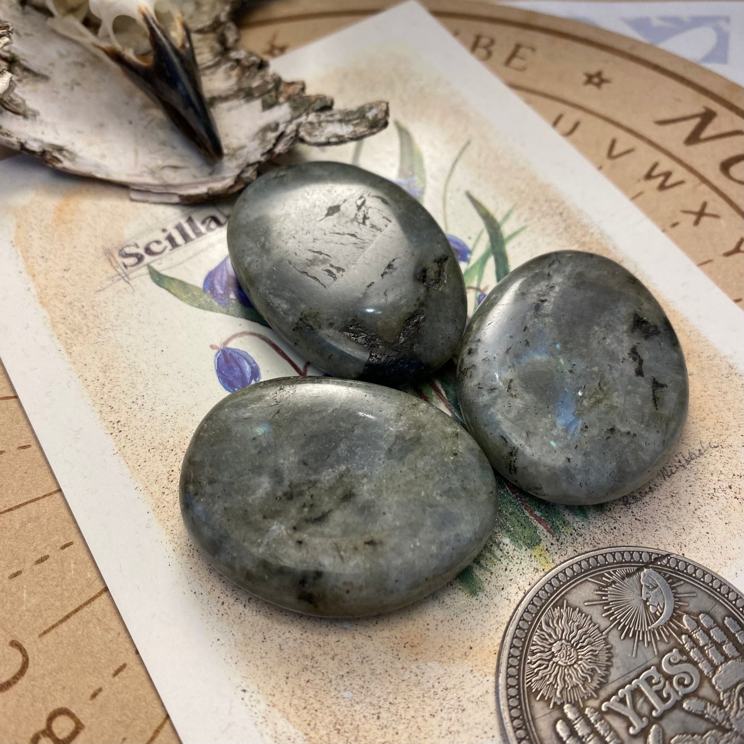 Labradoriitti, litteä ~4cm