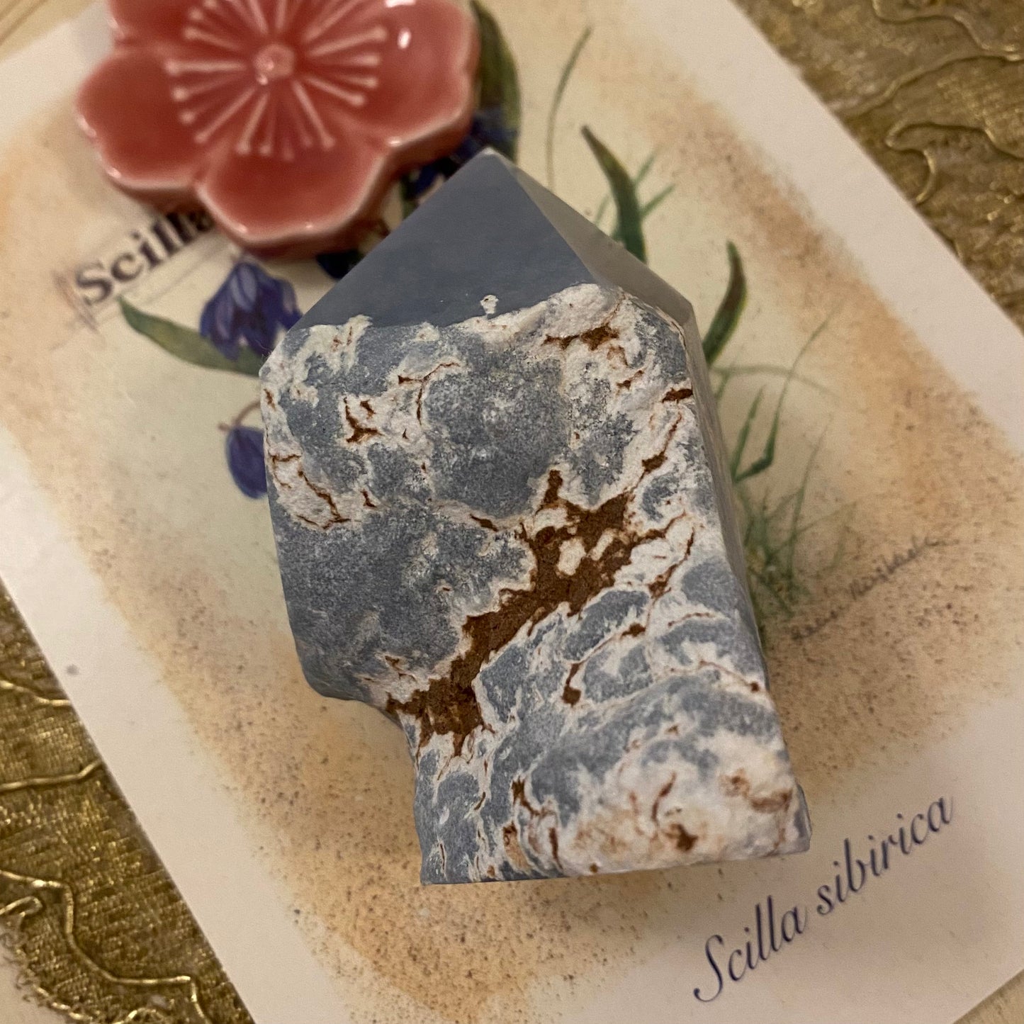 Angeliitti kärki ALE -40%