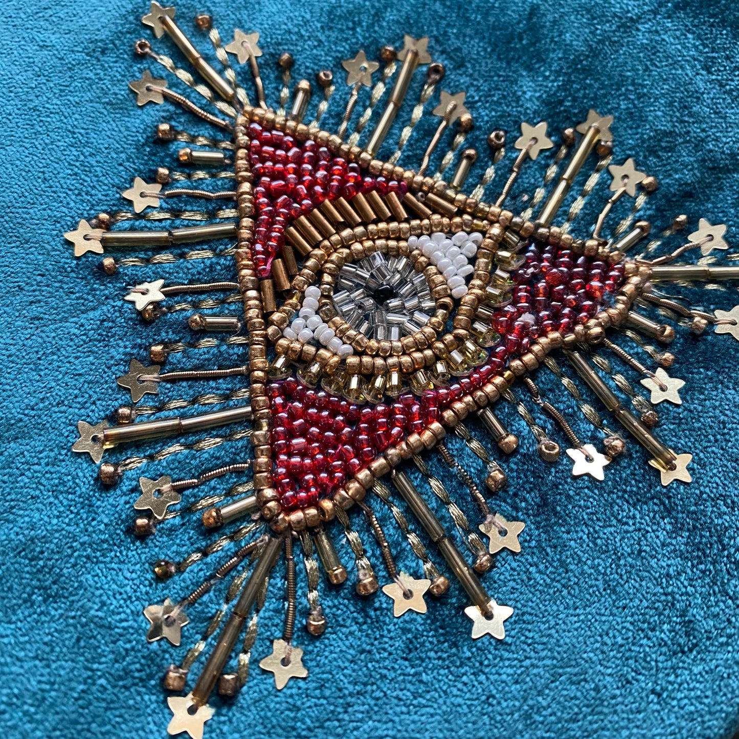 Samettipussukka, silmä